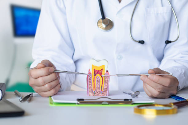 Best Emergency Tooth Extraction in Cressona, PA